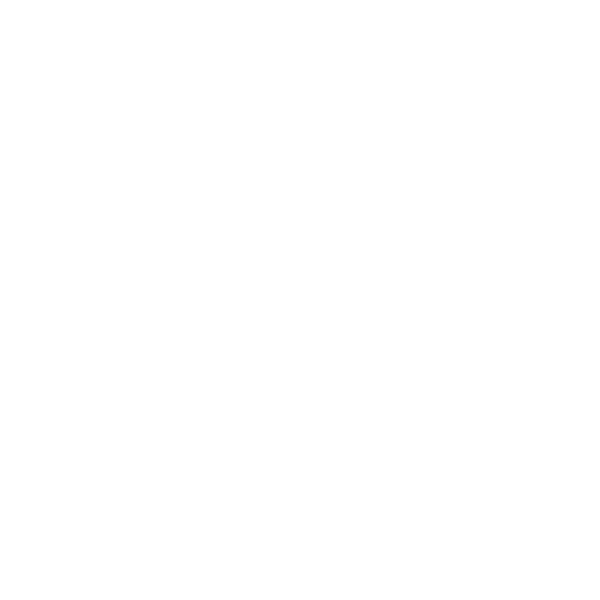 Formato De Curriculum Vitae Para Argentina Romano Business